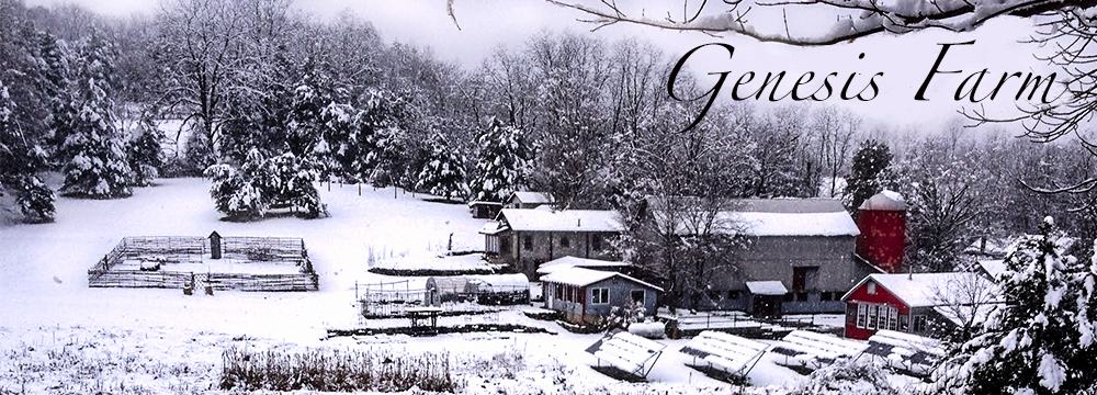 Header_winter
